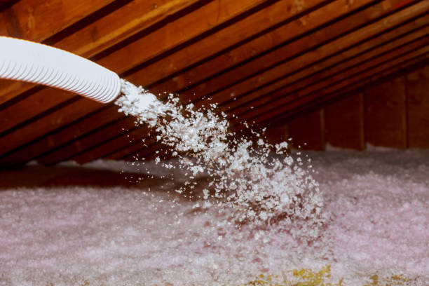 Best Insulation Repair Services  in Rockingham, NC